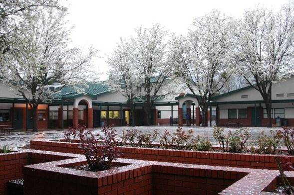 Campus Picture
