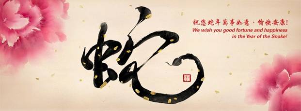 Year of Snake