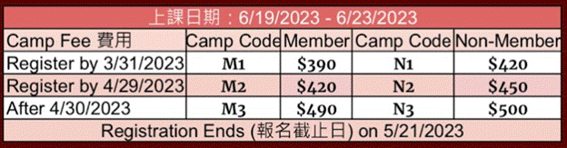 Chinese Culture Summer Camp